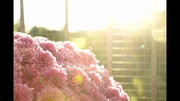 半夜爆料的视频素材,神秘视频曝光,真相令人震惊! 第1张 半夜爆料的视频素材,神秘视频曝光,真相令人震惊! 第1张